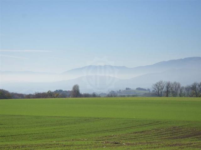 Wohnung mieten in Burtigny, Waadt