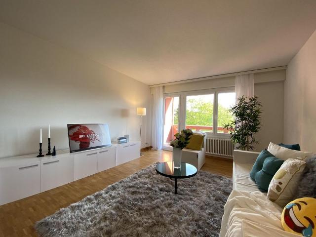 Apartment mieten in Sandacher, Greifensee