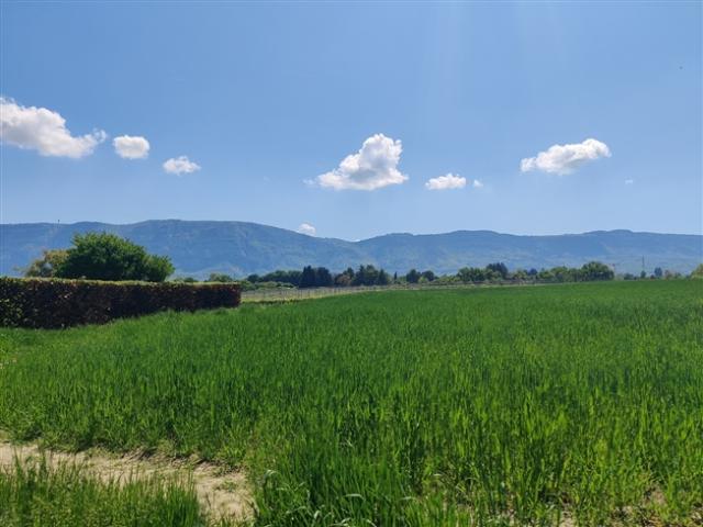 Wohnung kaufen in Plan-les-Ouates