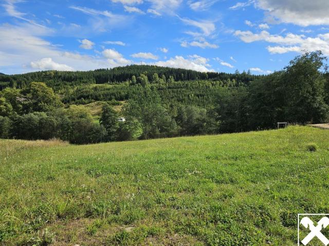 Grundstück kaufen in Weitersfelden, Oberösterreich