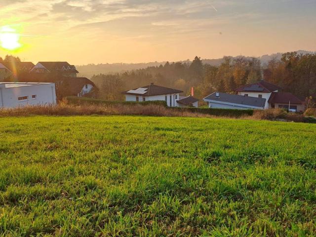 Immobilie kaufen in Windhaag bei Perg, Oberösterreich
