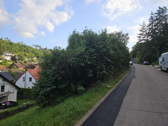 Erdgeschosswohnung kaufen in Gündringen, Nagold