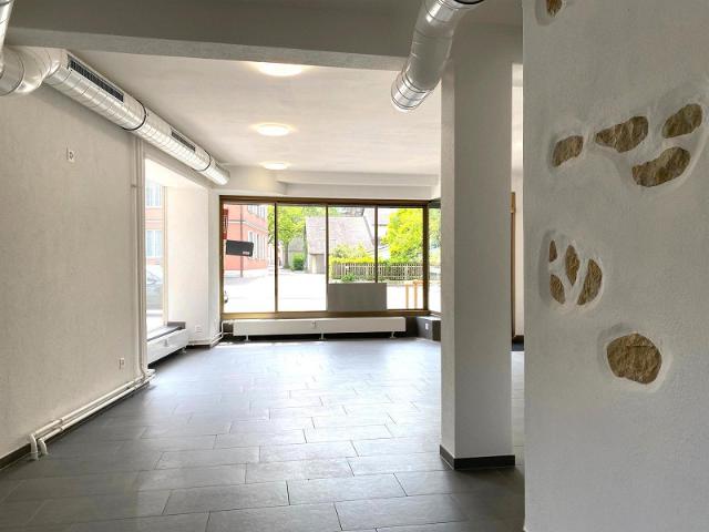 Immobilie kaufen in Neuhausen, Schaffhausen
