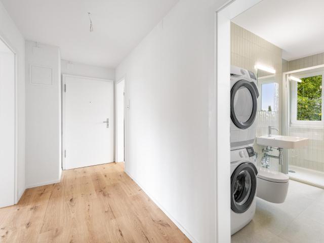 Apartment mieten in Einigen, Zürich