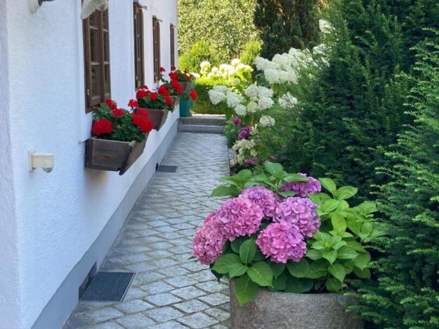Wohnung kaufen in Scharten, Oberösterreich