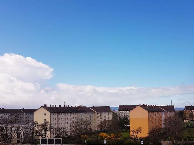 Wohnung kaufen in Frankenthal (Pfalz), Frankenthal