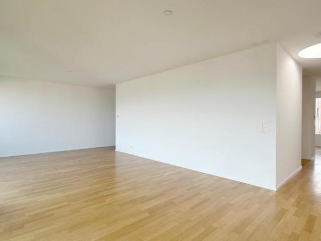 Apartment mieten in Wädenswil, Zürich