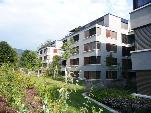 Apartment mieten in Einigen, Zürich