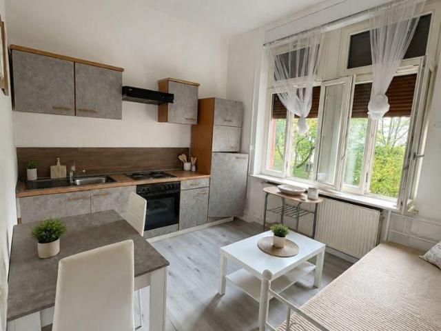 Apartment mieten in Nord-Hemshof, Ludwigshafen