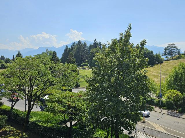 Wohnung kaufen in Chailly-Montreux, Waadt