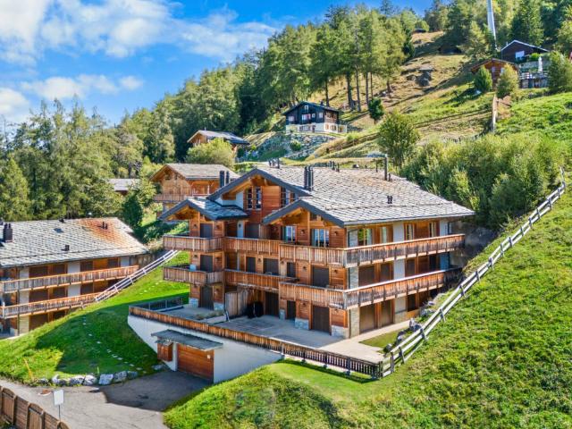 Wohnung kaufen in Les Mayens-de-Sion, Wallis
