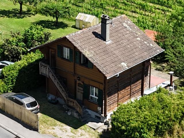 Haus kaufen in Saint-Légier-La Chiésaz, Blonay - Saint-Légier