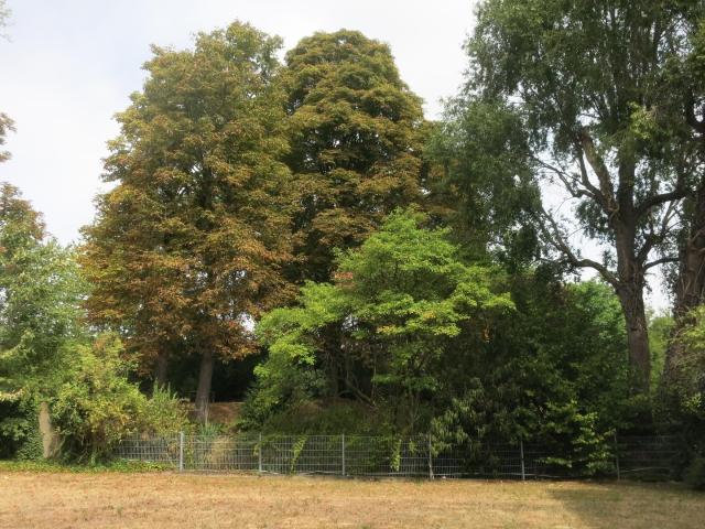 Wohnung kaufen in Mülheim, Köln