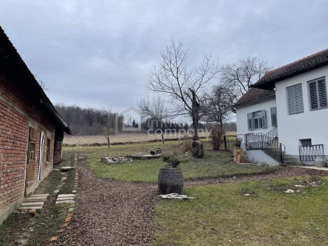 Haus kaufen in Krottendorf bei Güssing, Güssing