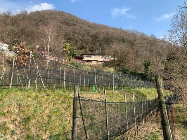 Immobilie kaufen in Morbio Superiore, Tessin