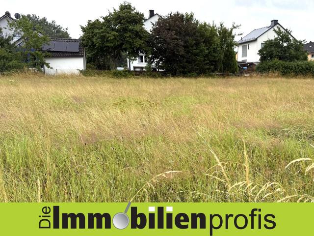 Landwirtschaft kaufen in Einöden, Sparneck