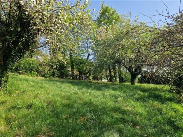 Grundstück kaufen in Ring, Hartberg