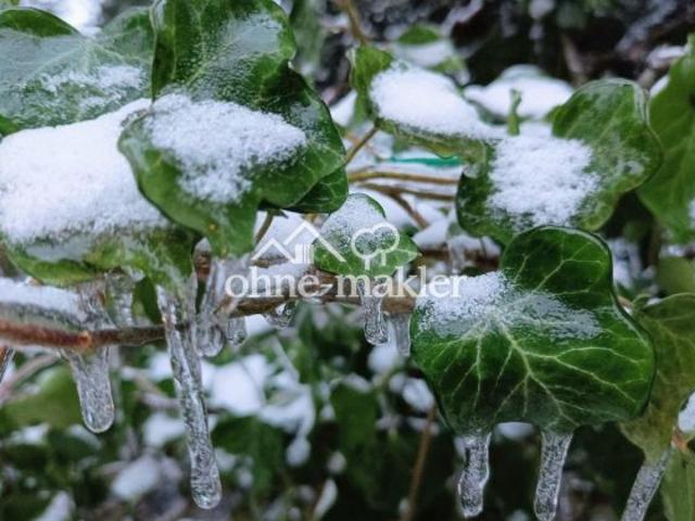 Erdgeschosswohnung kaufen in Berlin