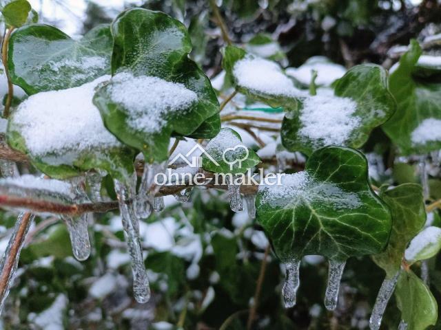 Erdgeschosswohnung kaufen in Marzahn-Hellersdorf, Berlin