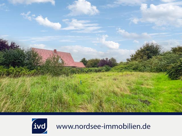 Landwirtschaft kaufen in Norden (City), Norden