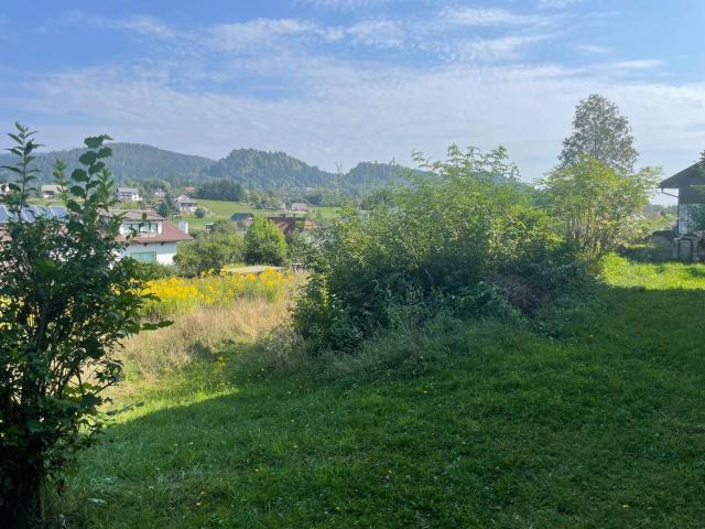 Immobilie kaufen in Wernberg, Kärnten