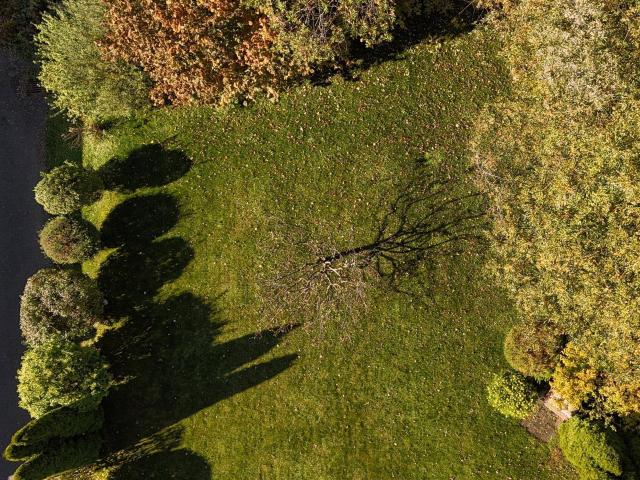 Immobilie kaufen in Erpfendorf, Tirol