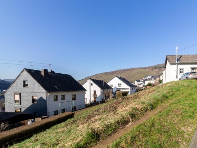 Landwirtschaft kaufen in Waldrach, Rheinland-Pfalz