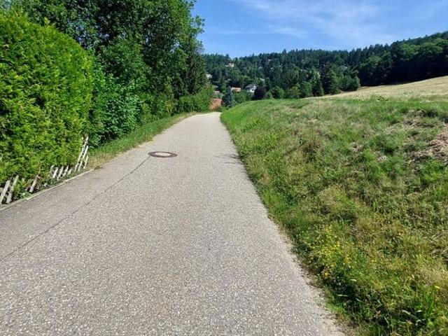 Landwirtschaft kaufen in Hohritt, Sasbachwalden
