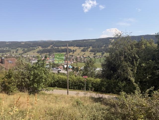 Grundstück kaufen in Le Sentier, Le Chenit