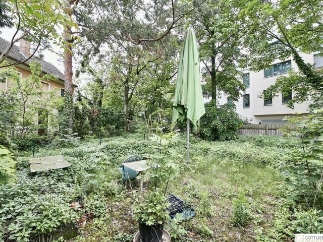 Grundstück kaufen in Donaustadt, Wien