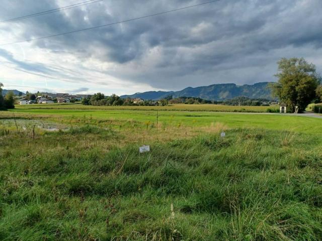 Grundstück kaufen in Völkermarkt, Kärnten