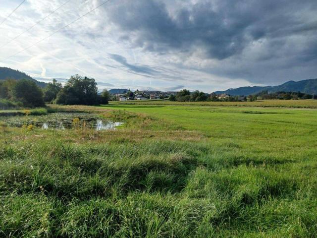 Immobilie kaufen in Völkermarkt, Kärnten