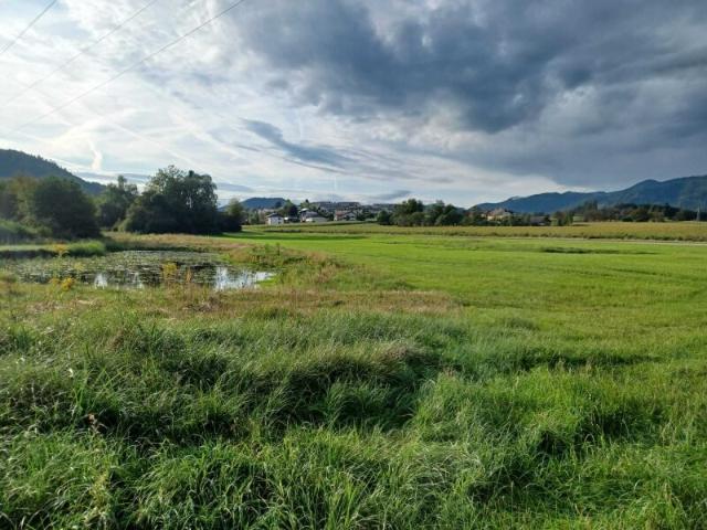 Grundstück kaufen in Völkermarkt, Kärnten