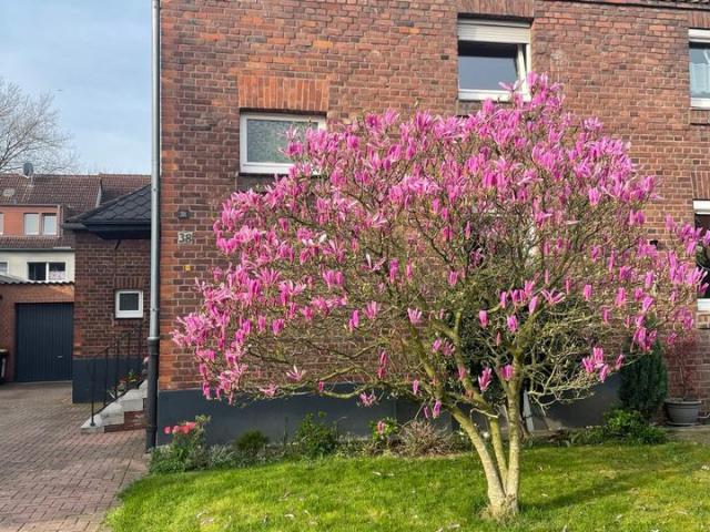 Haus kaufen in Bergheim, Duisburg