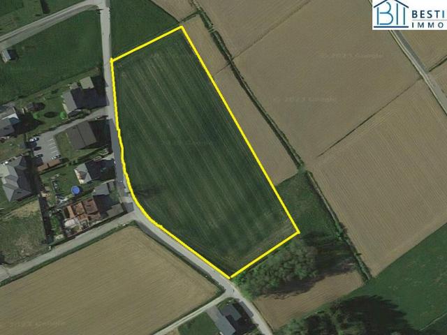 Grundstück kaufen in Sinabelkirchen, Steiermark