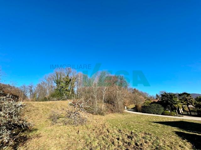 Immobilie kaufen in Bioggio, Tessin