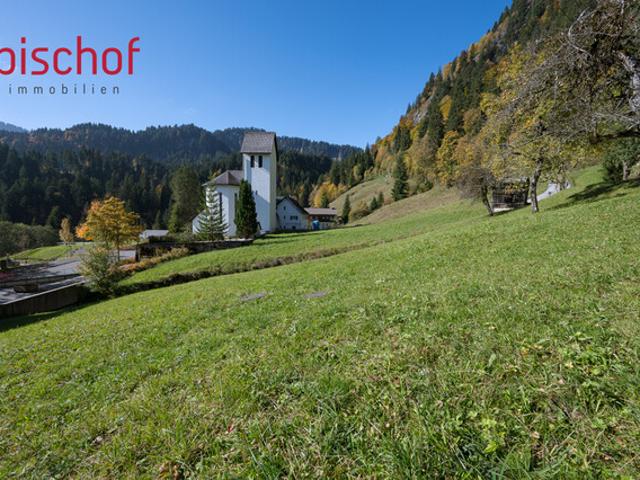 Grundstück kaufen in Dornbirn, Vorarlberg