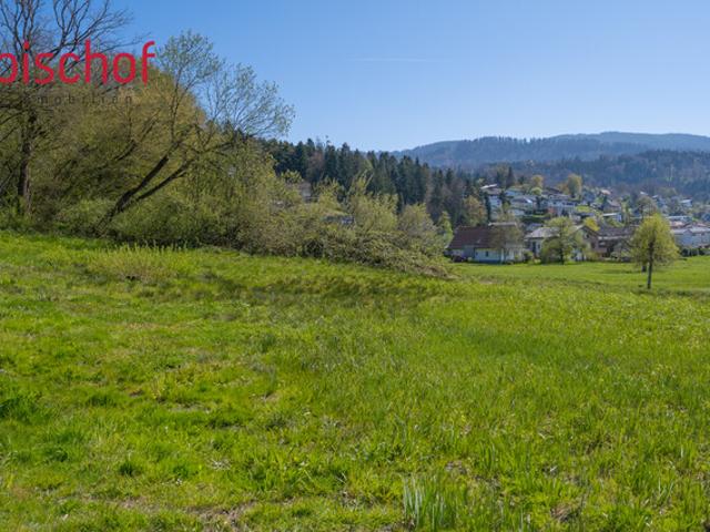 Grundstück kaufen in Schwarzach, Vorarlberg