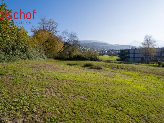 Grundstück kaufen in Schwarzach, Vorarlberg