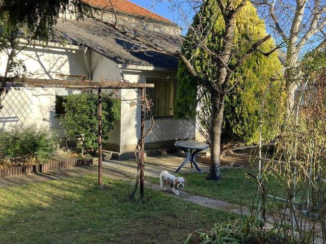 Haus kaufen in Gumpoldskirchen, Niederösterreich