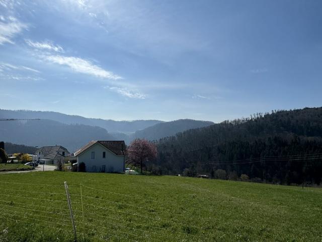 Grundstück kaufen in Liesberg, Basel-Landschaft