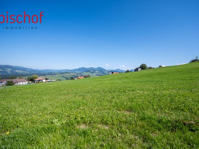 Grundstück kaufen in Alberschwende, Vorarlberg