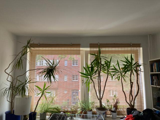 Zimmer mieten in Barmbek-Nord, Hamburg