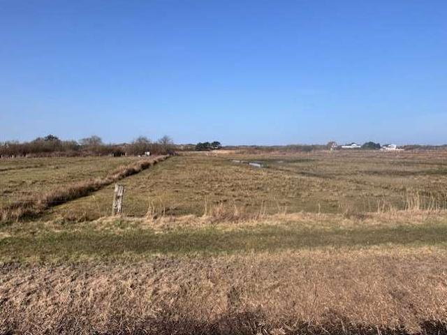 Erdgeschosswohnung kaufen in Langeoog, Landkreis Wittmund
