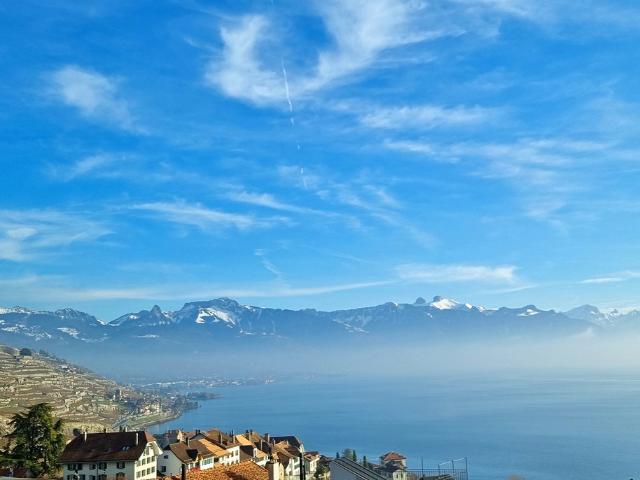 Haus kaufen in Rivaz, Waadt