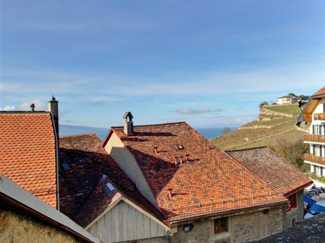 Einfamilienhaus kaufen in Rivaz, Waadt