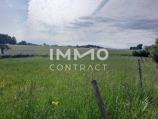 Immobilie kaufen in Bad Hall, Oberösterreich