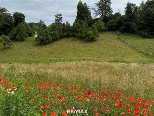 Grundstück kaufen in Maria Rain, Kärnten