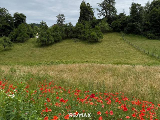 Immobilie kaufen in Maria Rain, Kärnten