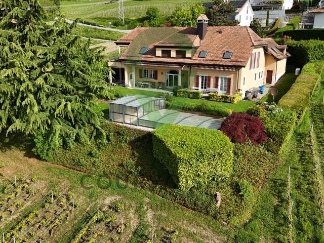 Haus kaufen in Mont-sur-Rolle, Waadt